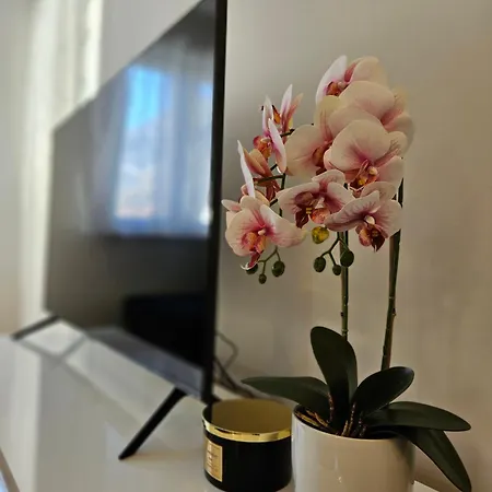 Marevic Apartamento *